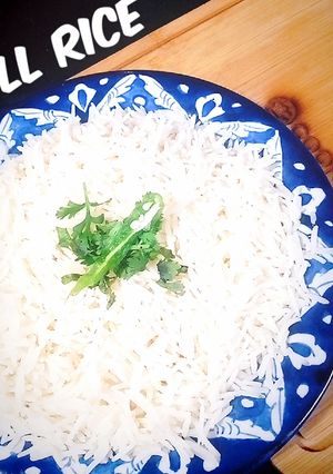 A picture of بوائل رائس.