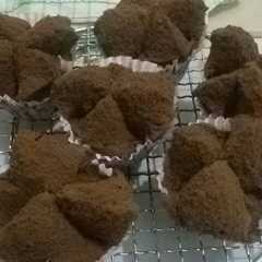 รูปของ Brownis kukus