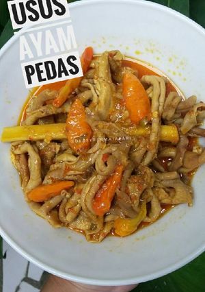 Foto resep Usus ayam pedas