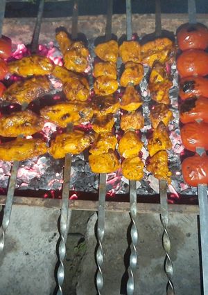 عکسی از دستور جوجه کباب