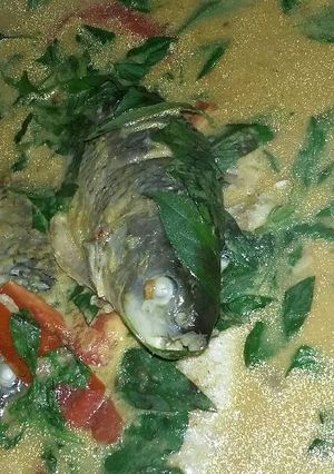 Foto resep gulai ikan mas kemangi