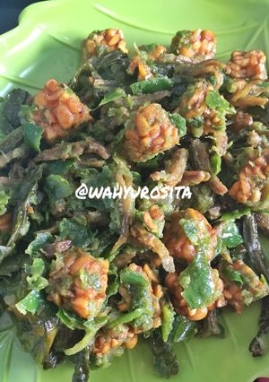 Foto resep Ikan Bada Tempe Lado Hijau