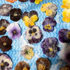 A picture of Candy flowers.