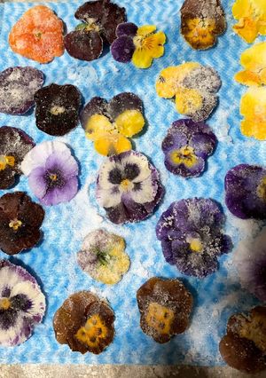 A picture of Candy flowers.