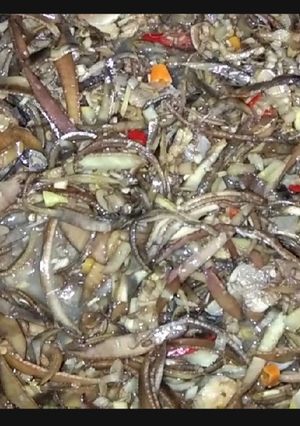 Foto resep Tumis Jantung Pisang ala dara