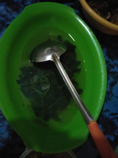 Foto resep Sayur bening bayam simple