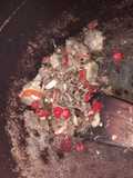 Sambal bongkot