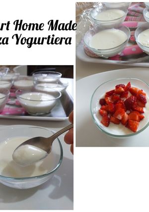 Foto di Yogurt Home Made Senza Yogurtiera