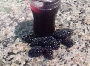 Foto de Suco de amora