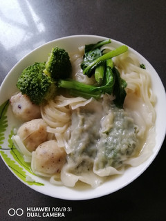 A picture of Fish Ball Udon.
