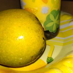 A picture of Mango shake.