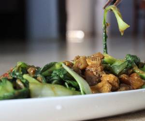 Cara Cepat Tumis pakchoy ayam Enak Sederhana Cara Cepat Tumis pakchoy ayam Enak Sederhana