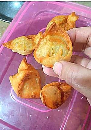 A picture of Crispy crunchy wonton.