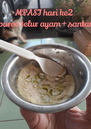 Foto resep MPASI pure ayam