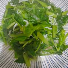 莧菜小魚-レシピのメイン写真