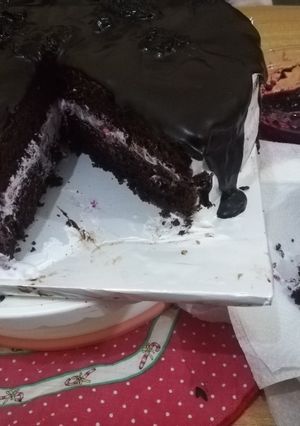 A picture of Chocolate-blueberry cake.