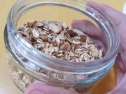Gambar muesli cinnamon