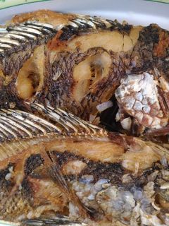 Foto resep Ikan Mujair Goreng