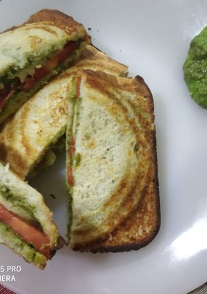 A picture of Pesto sandwich.
