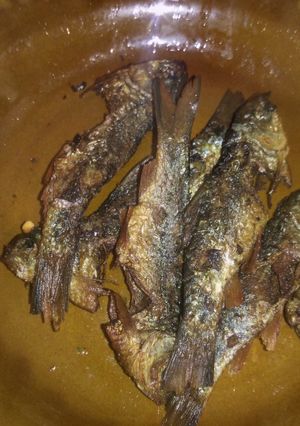 Foto resep Ikan wader goreng