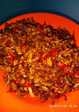 Foto resep Teri & Tempe Kering