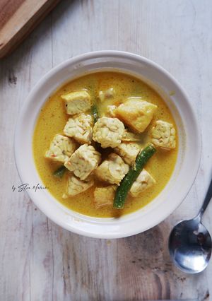 Foto resep Sayur Santan Tempe