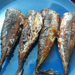 A picture of Fried titus fish.