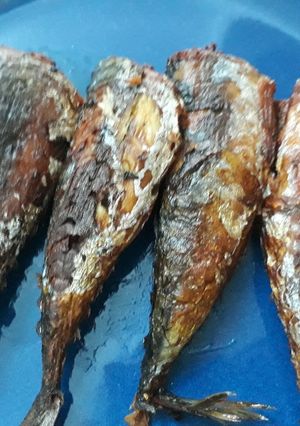 A picture of Fried titus fish.