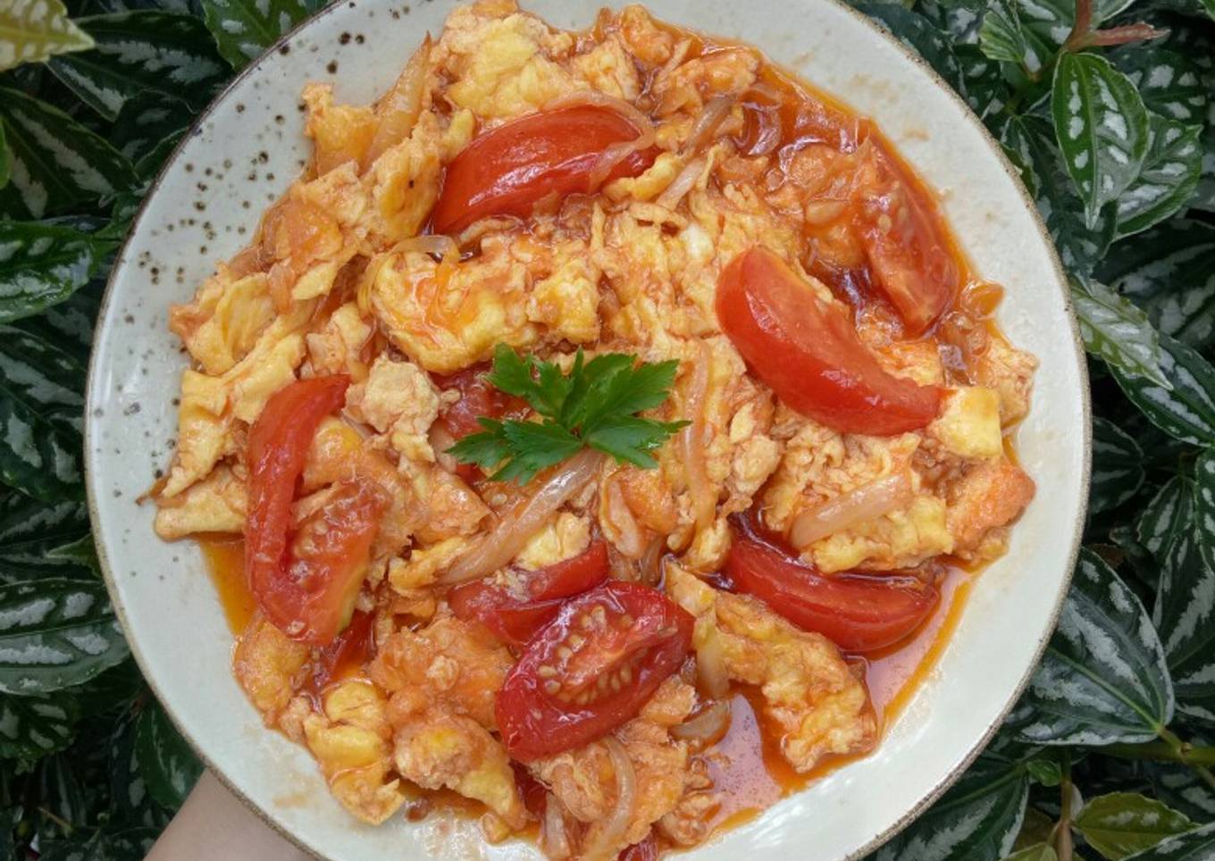 Orak-Arik Telur Tomat