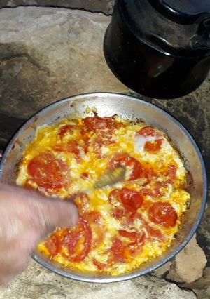 عکسی از دستور املت (کوهی)😋🍳