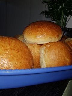 Una foto de Tortugas para guardar en el frezzer (masa en panetera)