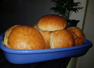 Una foto de Tortugas para guardar en el frezzer (masa en panetera)