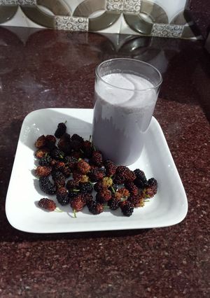 A picture of Mulberry Smoothie.
