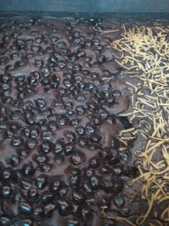 Foto resep Brownies