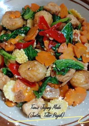 Foto resep Tumis Janten, Tahu, Telur Puyuh, Pentol dan Wortel