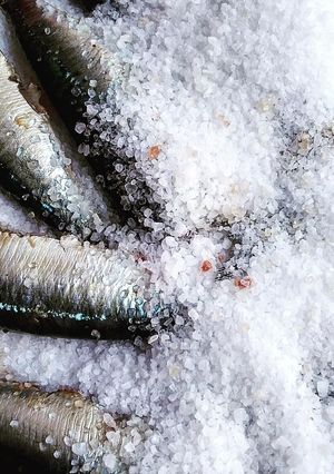 Φωτογραφία της συνταγής Σπιτικές Αντζούγιες 🐟