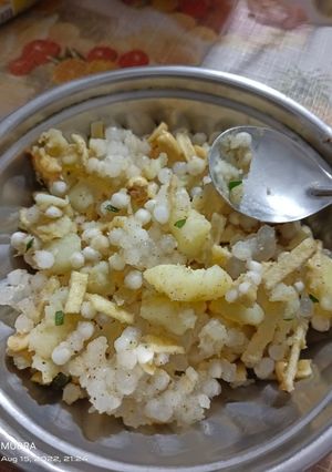 સાબુદાણા ભેળ (Sabudana Bhel Recipe In Gujarati) રેસીપી મુખ્ય ફોટો