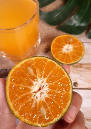Foto resep Air jeruk manis