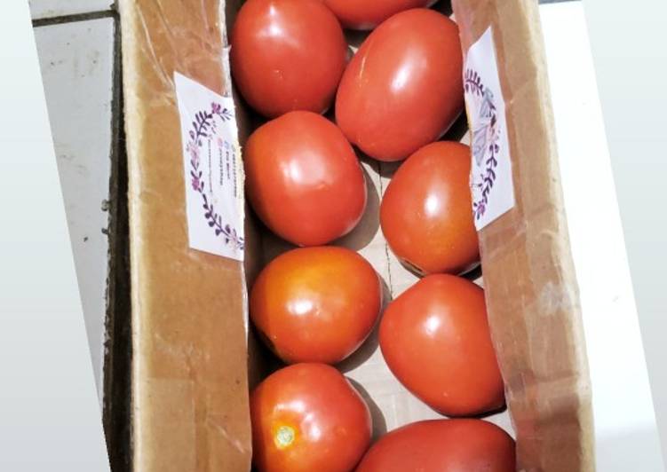Tips menyimpan tomat 🍅
