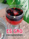 642. ES CAO Cocopandan