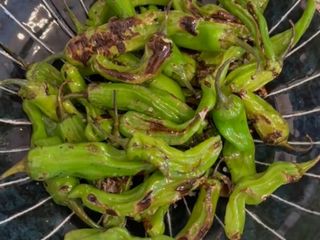 Charred Shishito Peppers