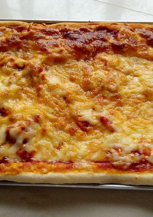 A picture of Rectangle pizza.