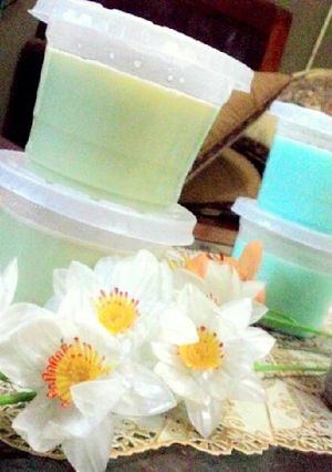 Foto resep Silky pudding anti gagal😘😘