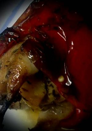 Una foto de 434. Codorniz borracha con pimiento al horno