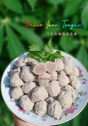 Foto resep Bakso Ikan Tongkol