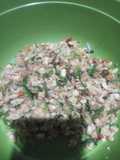 Tempe orek remes
