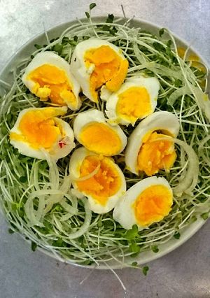 Hình của món Rau mầm cải trộn dầu giấm trứng.