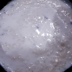 A picture of Chawal ki kheer.