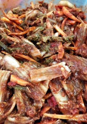 Foto resep Kimchi bahan lokal