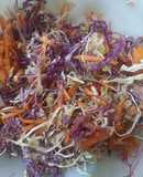 Ensalada de Atún Multicolor